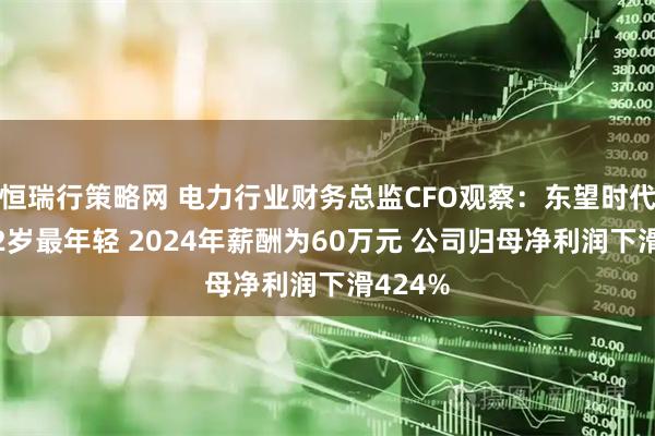 恒瑞行策略网 电力行业财务总监CFO观察：东望时代陈艳32岁最年轻 2024年薪酬为60万元 公司归母净利润下滑424%
