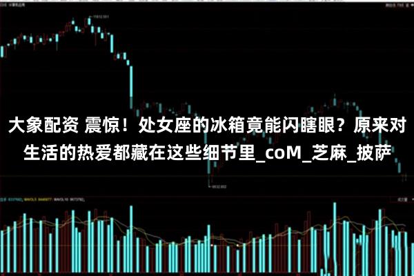 大象配资 震惊！处女座的冰箱竟能闪瞎眼？原来对生活的热爱都藏在这些细节里_coM_芝麻_披萨