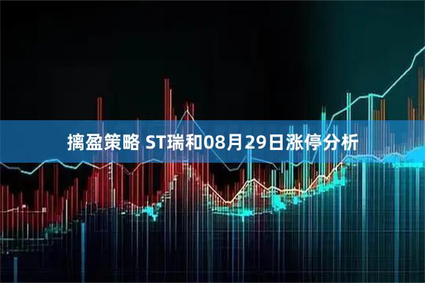 摛盈策略 ST瑞和08月29日涨停分析